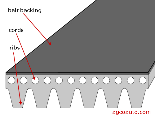 Typical serpentine belt construction
